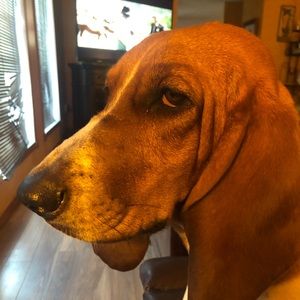 Meet your Posher, Susan